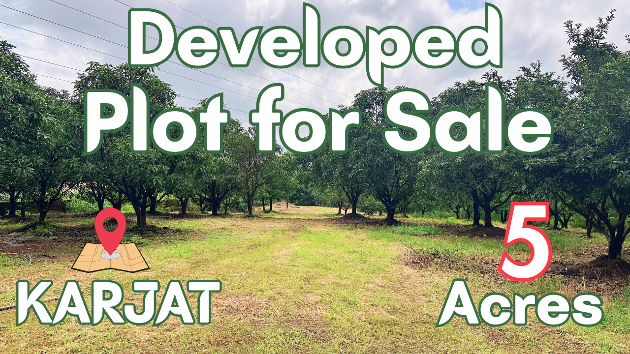Plot for Sale | Village Karjat | Damber Road Touch | #plot #openplots #karjat